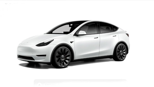 TESLA Model Y(Daily Rent)